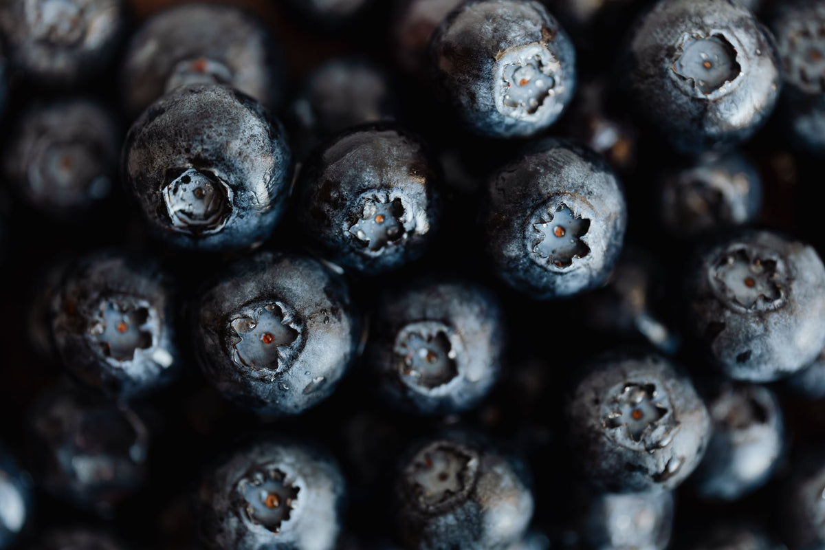 Adding Unsweetened Dried Blueberries To Your Diet